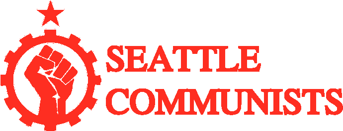 Solidarity Salute Pillow Case (828x351), Png Download