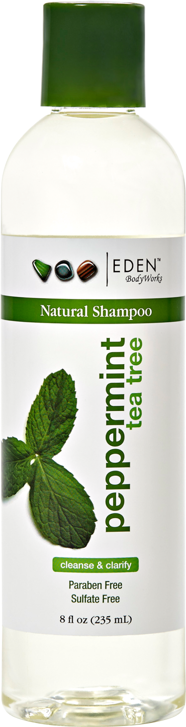 Peppermint Tea Tree Shampoo By Eden Bodyworks - Eden Bodyworks Peppermint Tea Tree Shampoo 8 Oz (1500x1500), Png Download
