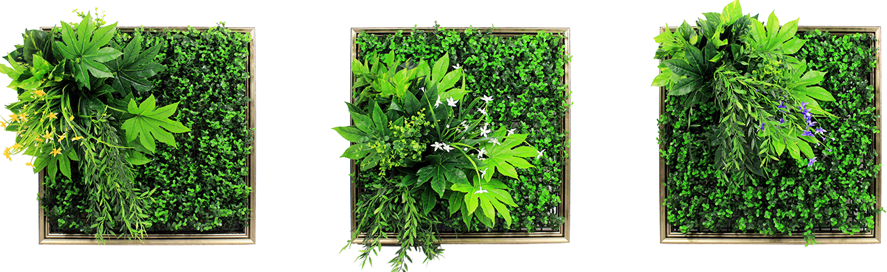 Amazon Jungle - Wild Orchid - Green Wall Paintings Png (1274x391), Png Download