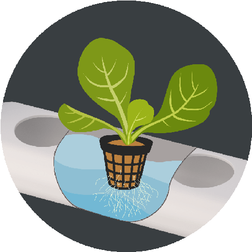 Plantsteps Open Cut Net Pot - Nutrient Film Technique (500x496), Png Download