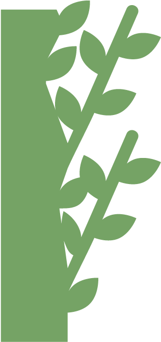 Moss Wall, Living Wall, Live Wall, Green Wall, Plant - Calligraphy (750x688), Png Download