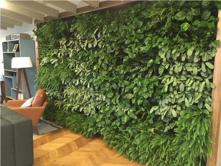 The Nexgen Requires Filling With Water By Hand, Starting - Wall (768x768), Png Download