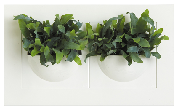 Discontinued Green Gallery Double Wall Planter - Flowerpot (600x600), Png Download
