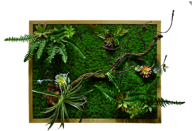 Green Wall (695x463), Png Download