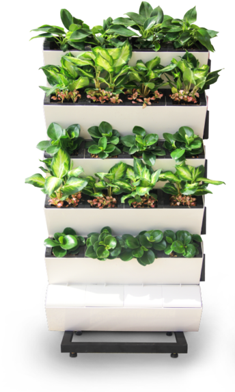 Outdoor Gardening, Or Just Want To Add Some Greenery - Vertical Garden Transparent (600x600), Png Download