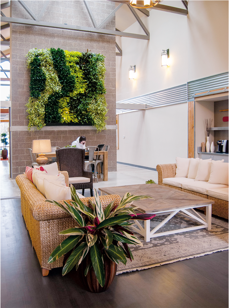 Living Wall 01 - Green Wall (1000x1000), Png Download