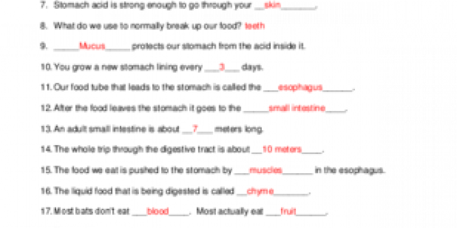 Bill Nye Worksheets Digestion - Funny Exam Answers (667x333), Png Download