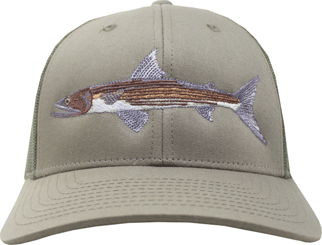 Ol' Preacher - Baseball Cap (650x495), Png Download