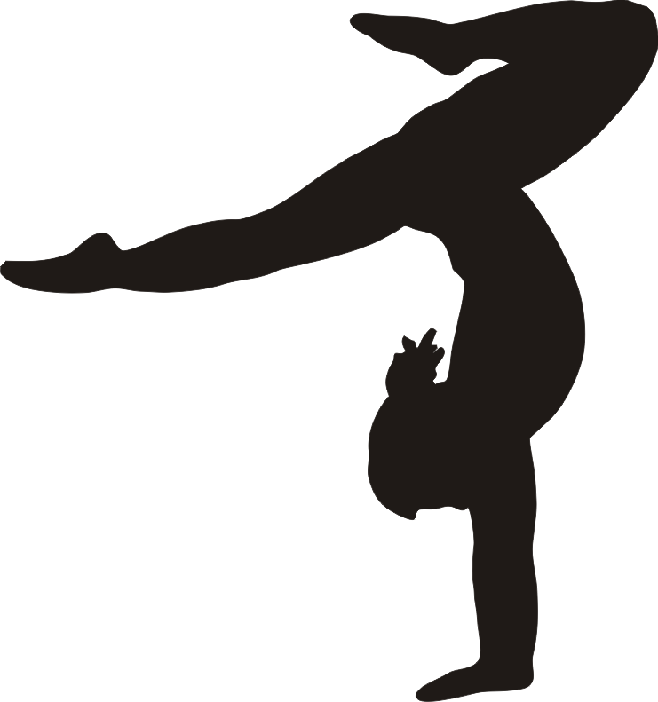 Gymnastics Png Photo - Gymnastics Png (741x791), Png Download