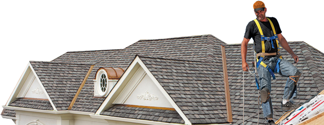 Rotating Banner2 - Roof (762x258), Png Download