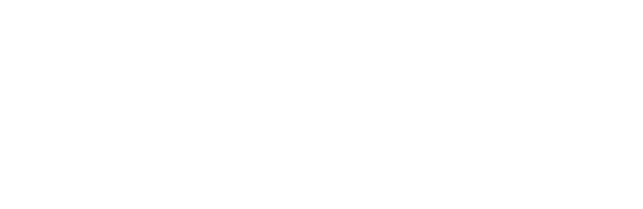 Peace Of Mind For A Lifetime - Roof (920x299), Png Download