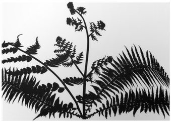 Fern Bush Silhouette Isolated On White Poster • Pixers® - Silhouette (400x400), Png Download