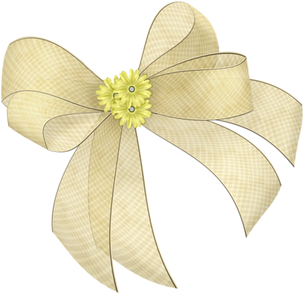 Raggedy Scd Ribbon018 - Laço De Fita Png (500x471), Png Download