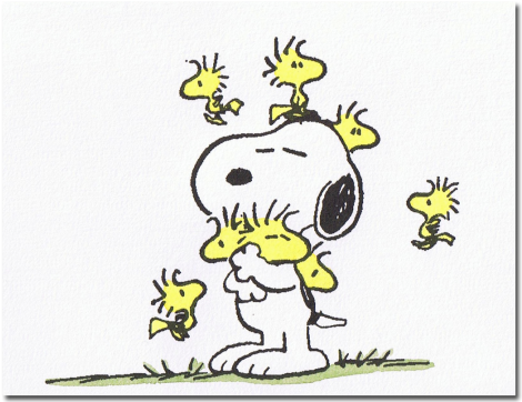 Peanuts "friends" - Snoopy And Many Woodstocks (473x473), Png Download