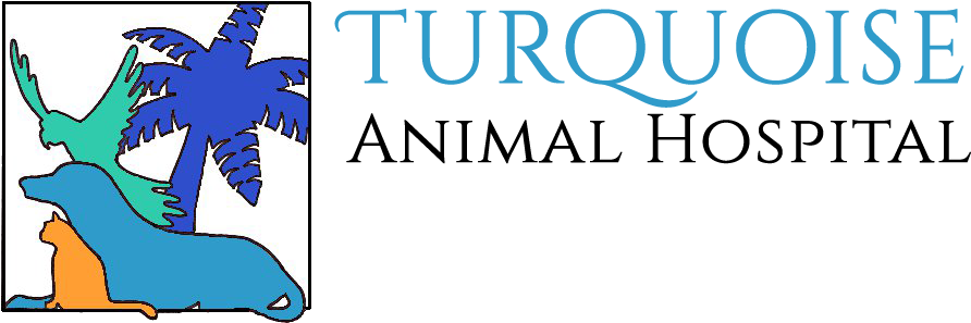 Veterinarian And Animal Clinic In San Diego, Ca - California (935x318), Png Download