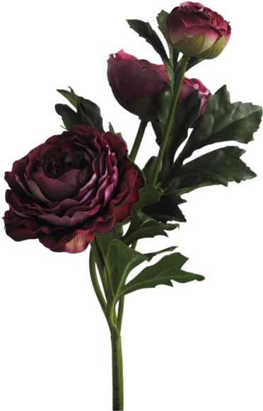 Flower Aesthetic Handpainted Pictures Png Flower Psd - Aesthetic Png Rose Png (600x600), Png Download