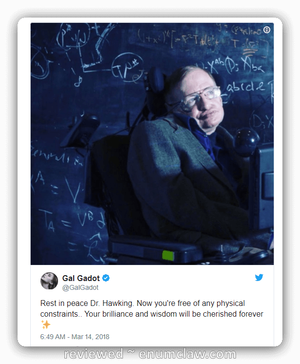 In A Tweet Honoring Hawking, Gadot Posted A Photo Of - Gal Gadot Stephen Hawking Tweet (615x746), Png Download