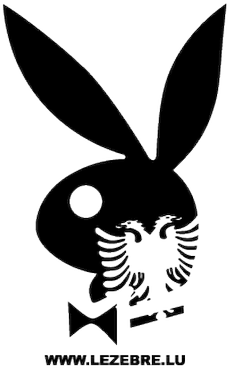 Pink Play Boy Logo (800x800), Png Download