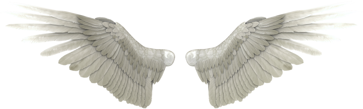 Angel Wings Png High Quality Image - Angel Wings Png (1024x446), Png Download