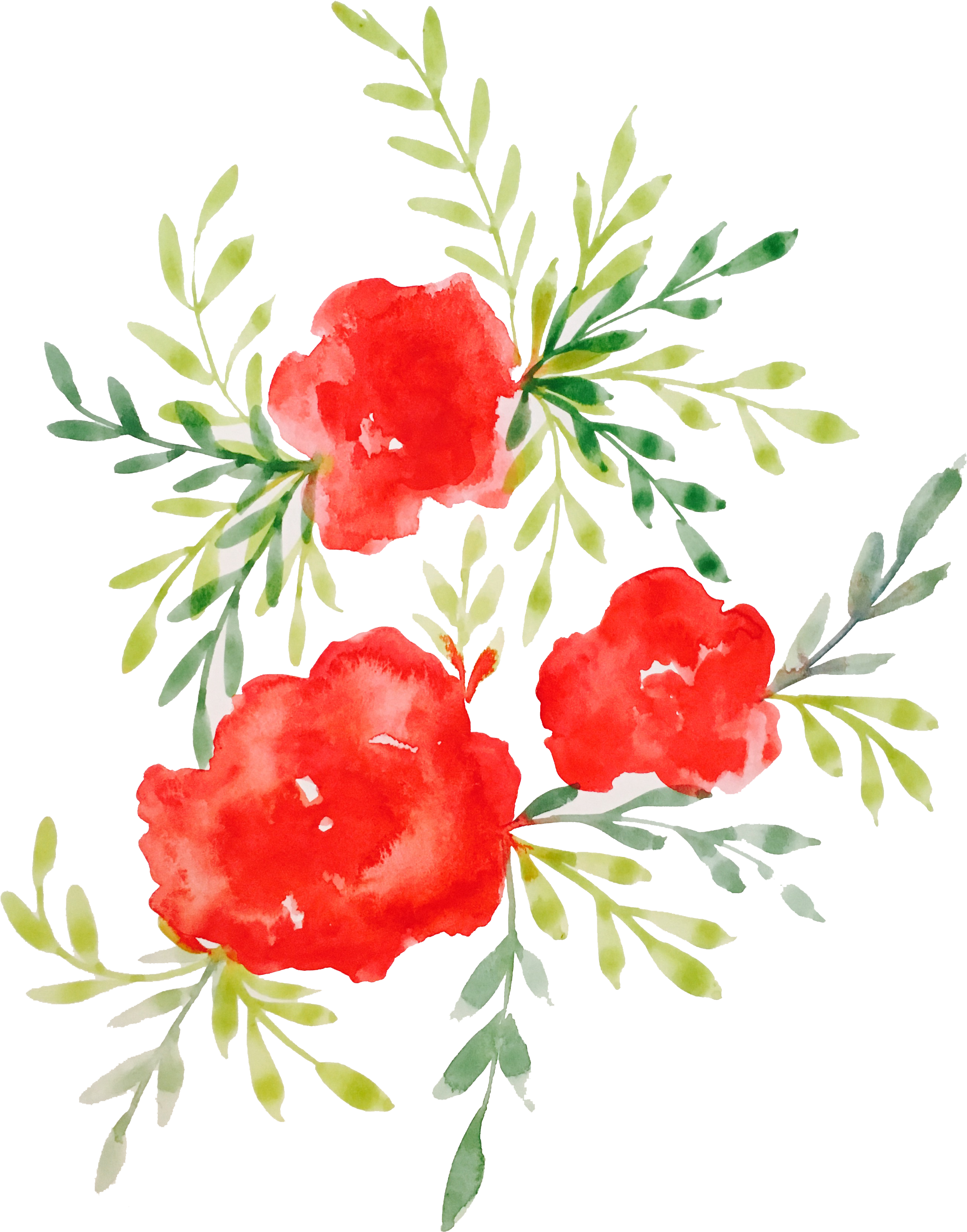 Roses Devyn Larson Designs Pinterest - Watercolor Painting (3024x4032), Png Download