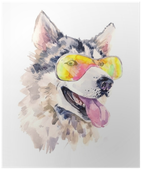 Watercolor Siberian Husky Dog In Cool Sun Glasses Poster - Husky Cool (400x400), Png Download