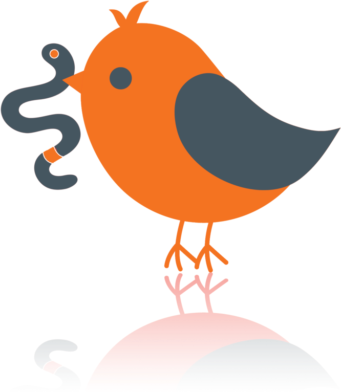 Early Bird - Png Clipart Bird Png (1000x1000), Png Download
