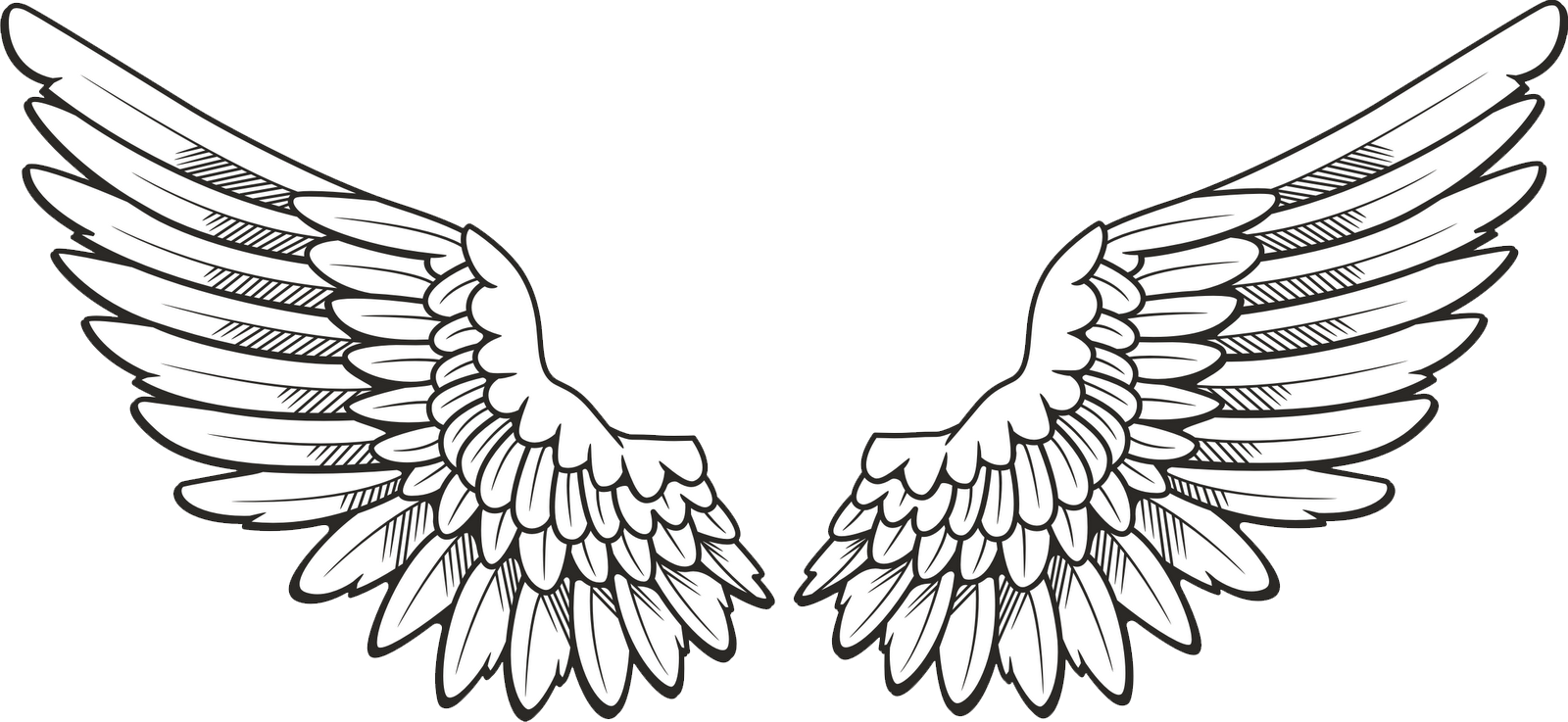 Free Png White Wings Png Images Transparent Wings Drawing Full Size Png Download Seekpng