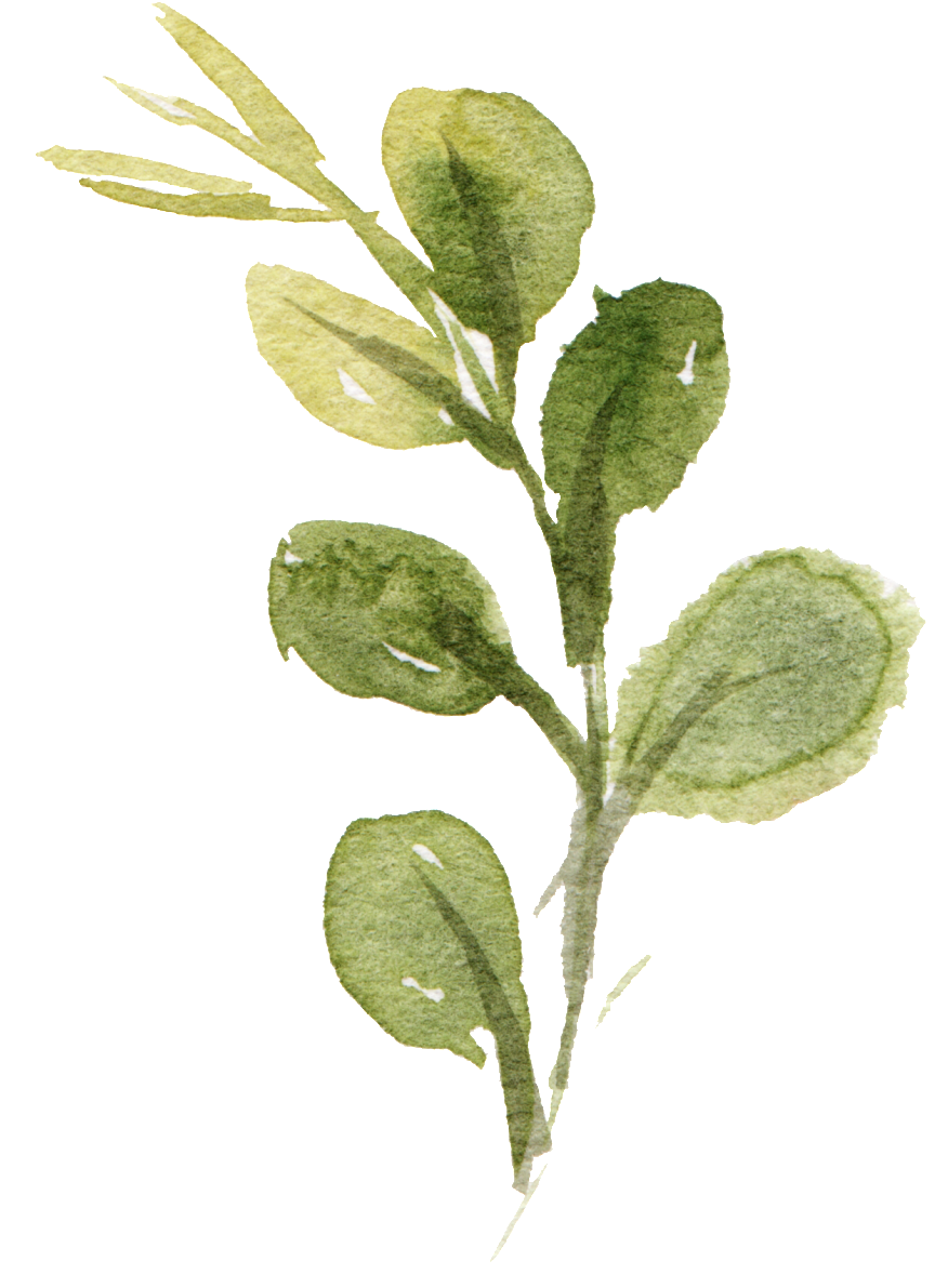 This Graphics Is Watercolor Hand Drawn Leaf Png About - Watercolor Painting (1024x1302), Png Download