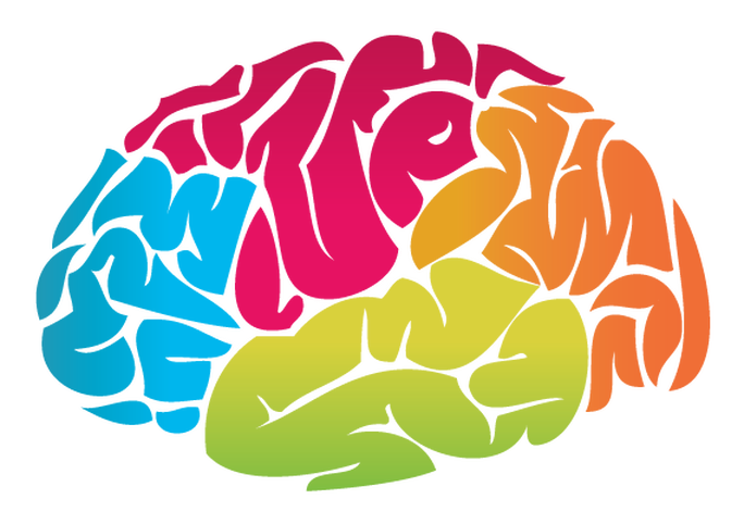 Brain Colour Drawing - 2018 Mental Health Awareness Month (570x402), Png Download