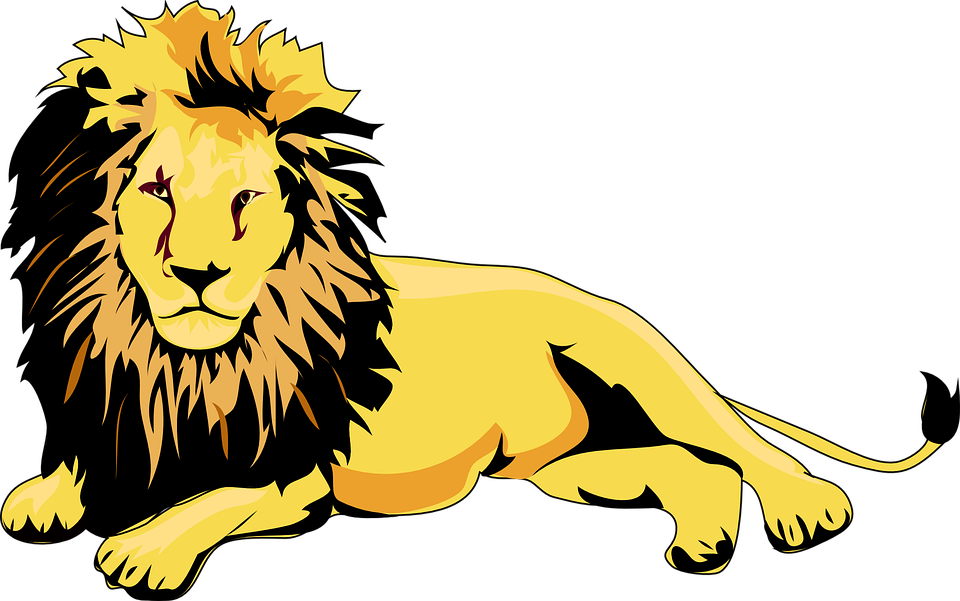 Clip - Lion Animated (800x505), Png Download