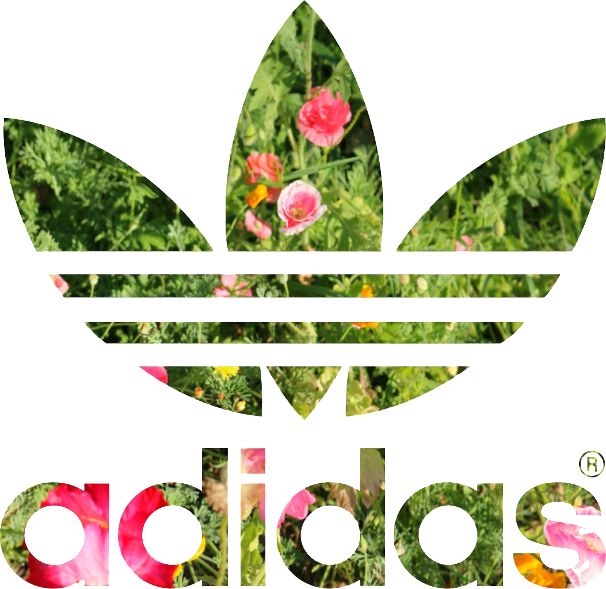 Originals Gymsack Trefoil Solar Yellow - Adidas Originals (2106x2048), Png Download