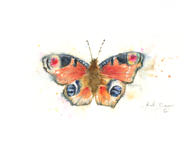 Aglais Io (380x380), Png Download