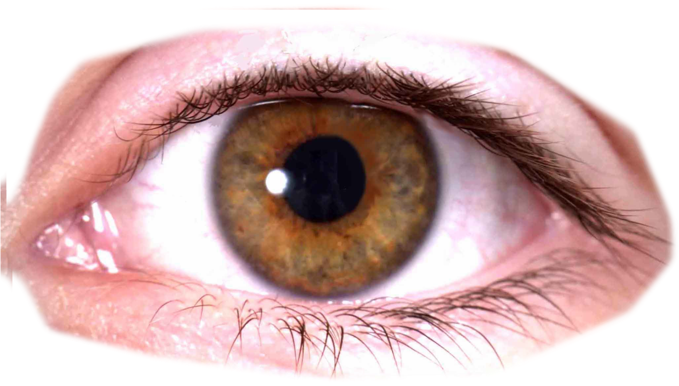 Eye Png - Human Eye Transparent Background (928x589), Png Download