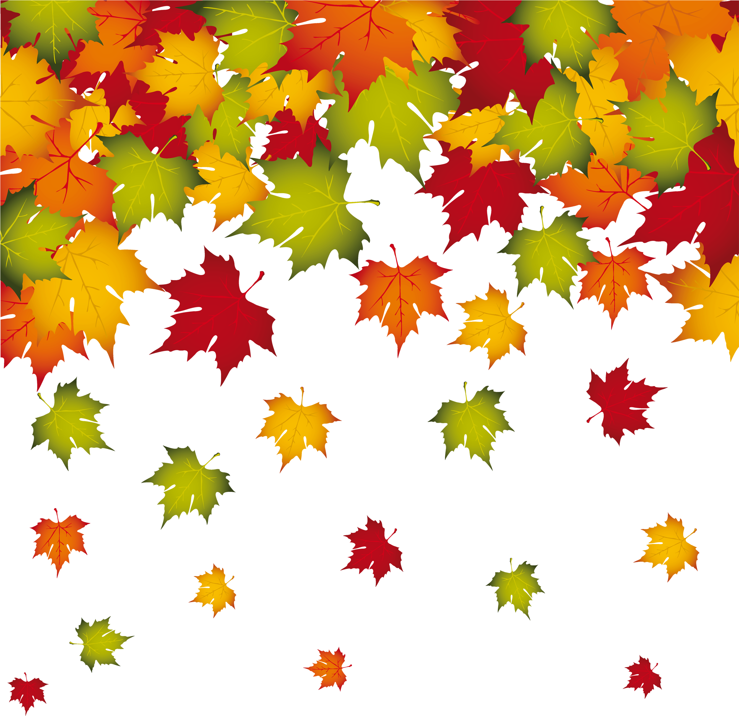 Fall Leaves Transparent (600x600), Png Download
