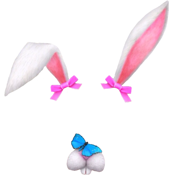 Eggplant Snapchat Png - Rabbit Snapchat Filter Transparent (622x726), Png Download