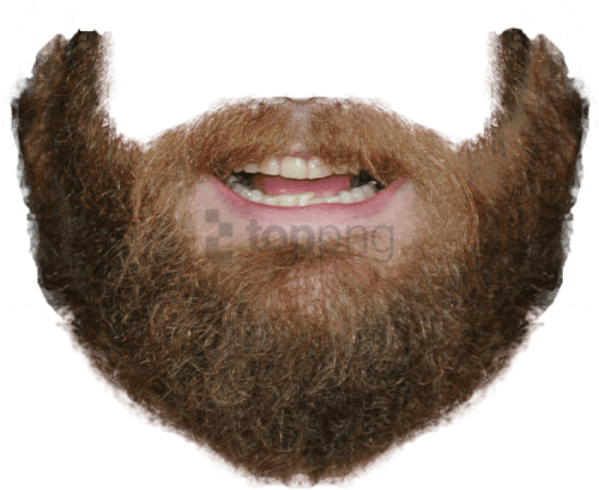 Beard And Mouth - Beard Png (500x409), Png Download