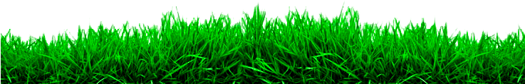 All Editing Grass Png Zip File, Photoshop All Editing - Cb Edits Grass Png (736x214), Png Download