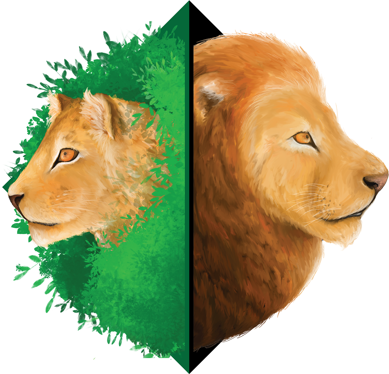 Thank You - Masai Lion (1400x1230), Png Download