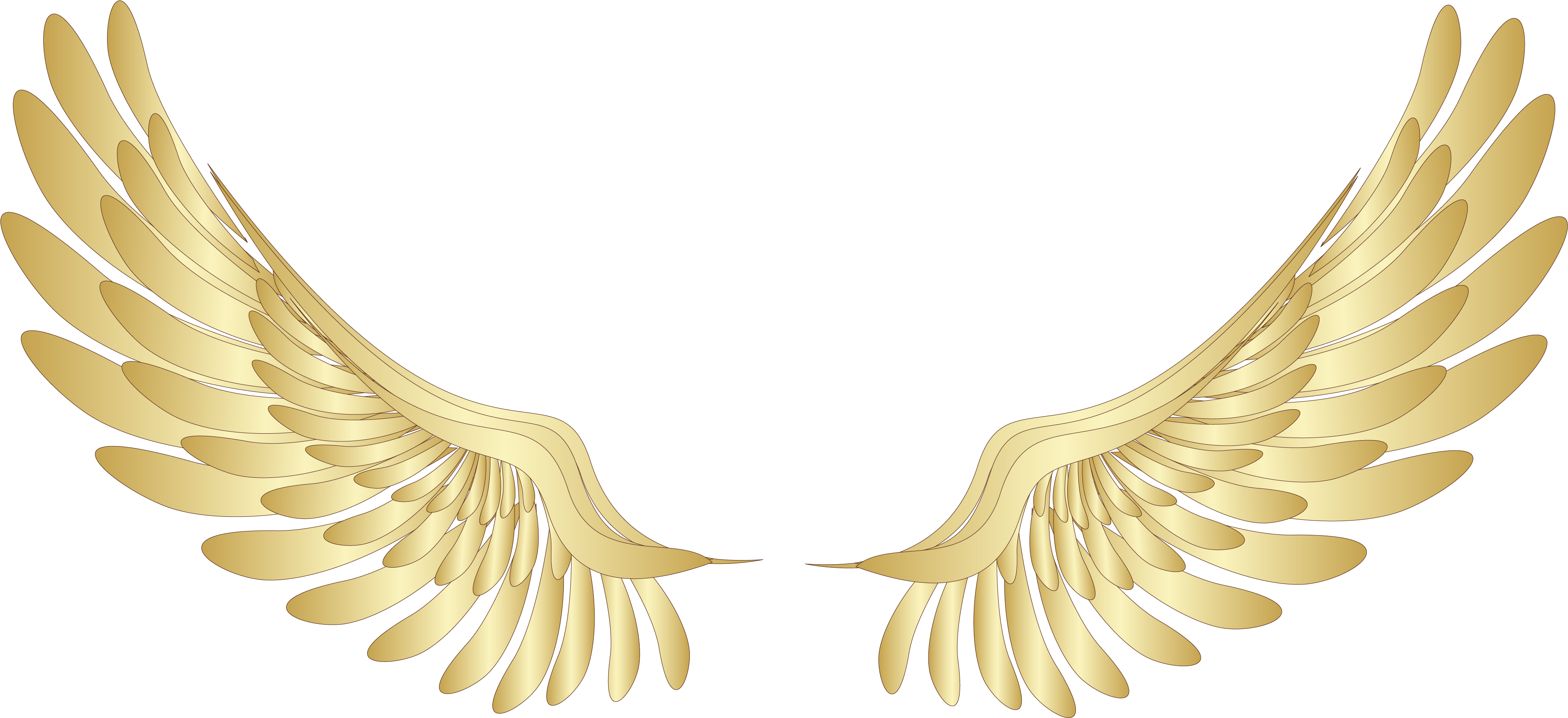 Angel Wing Transparent Png (3784x1771), Png Download