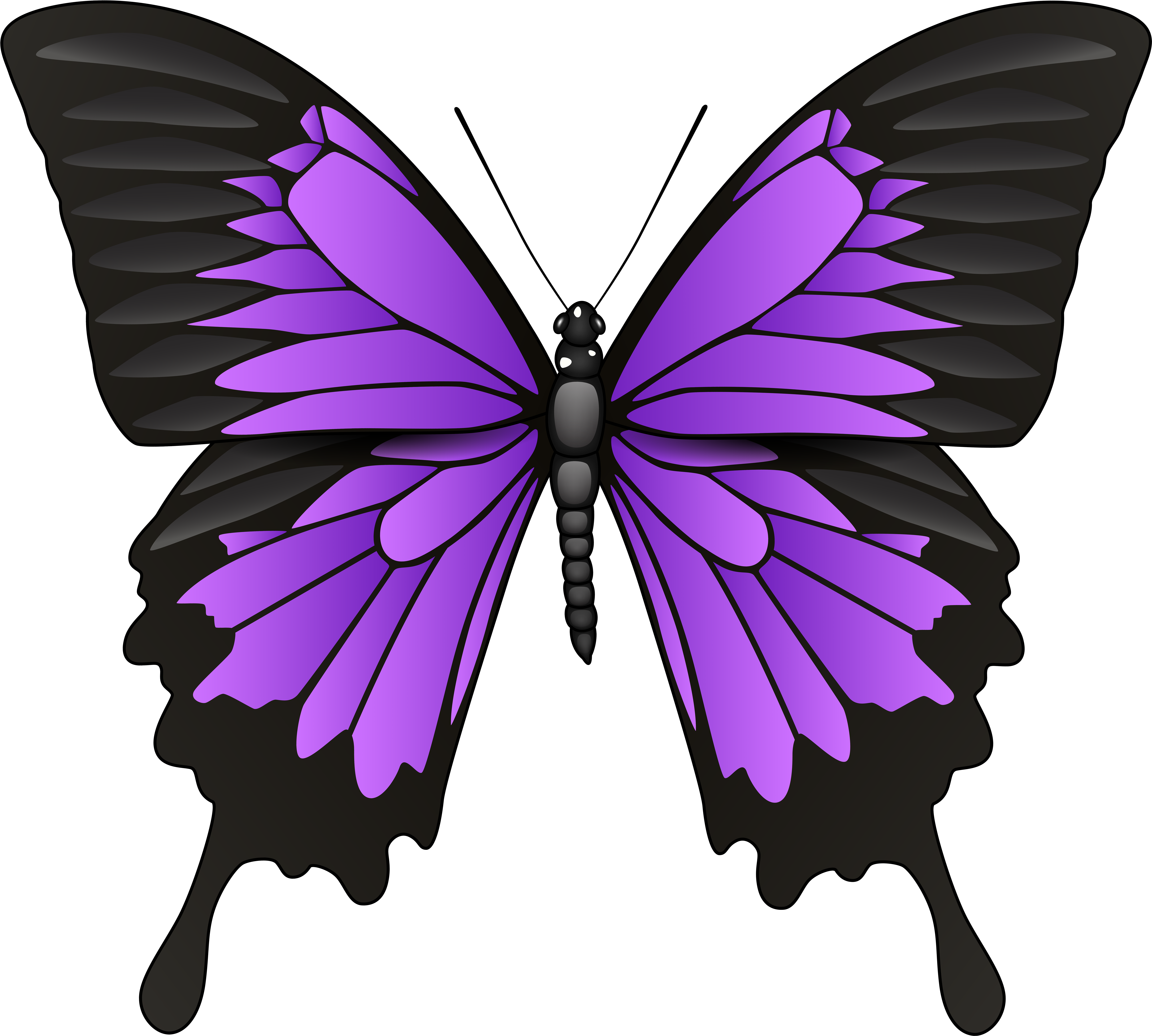 Purple Butterfly Png Clip Art (8000x7224), Png Download