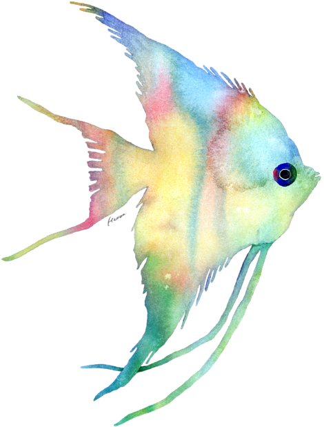Bleed Area May Not Be Visible - Watercolor Fish Transparent Background (525x700), Png Download