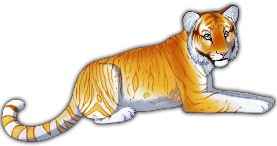 Golden Tabby Tiger By Narmicreator On Deviantart Vector - Golden Tabby Tiger Drawing (900x506), Png Download