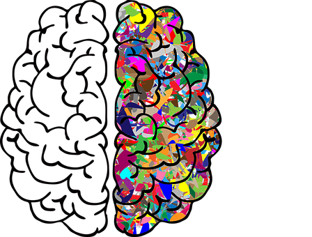 Brain, Mind, A, I, Ai, Anatomy - Left Vs Right Brain Png (448x340), Png Download