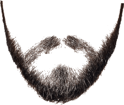 Beard Png (476x340), Png Download