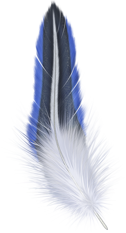 67884f56 - Png Feather (432x800), Png Download