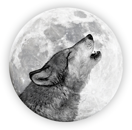 Wolf-moon - Wolf And Moon Png (442x434), Png Download