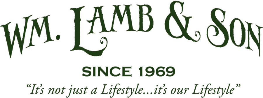 Wm Lamb & Son - Calligraphy (940x359), Png Download