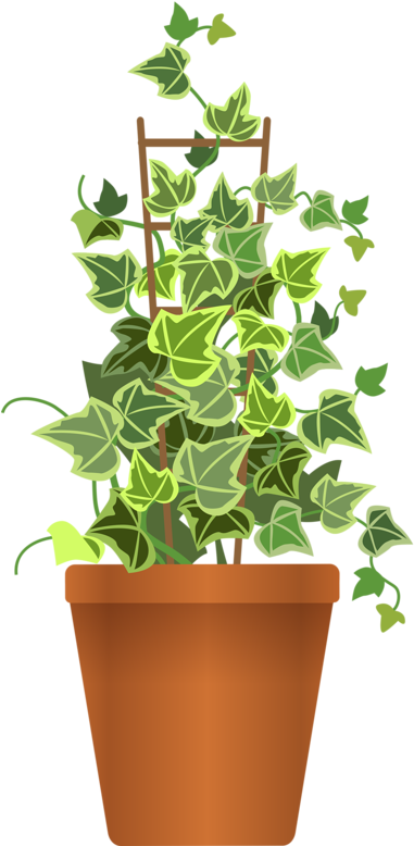 Flower Pot Png My Garden Valley Pinterest - Outdoor Flower Pots Png Clipart (399x800), Png Download