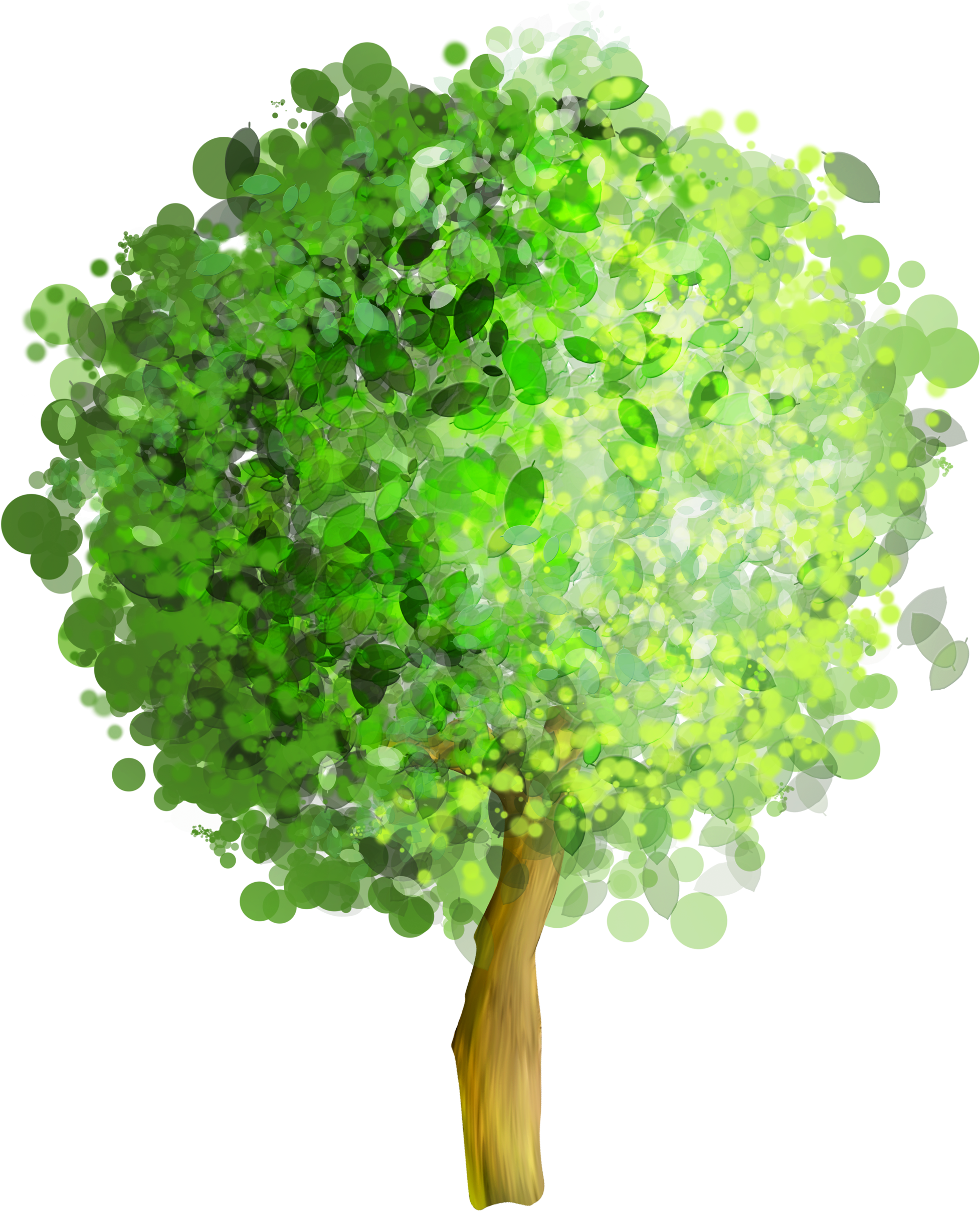 Watercolor Tree Png - Tree Png (2000x2441), Png Download