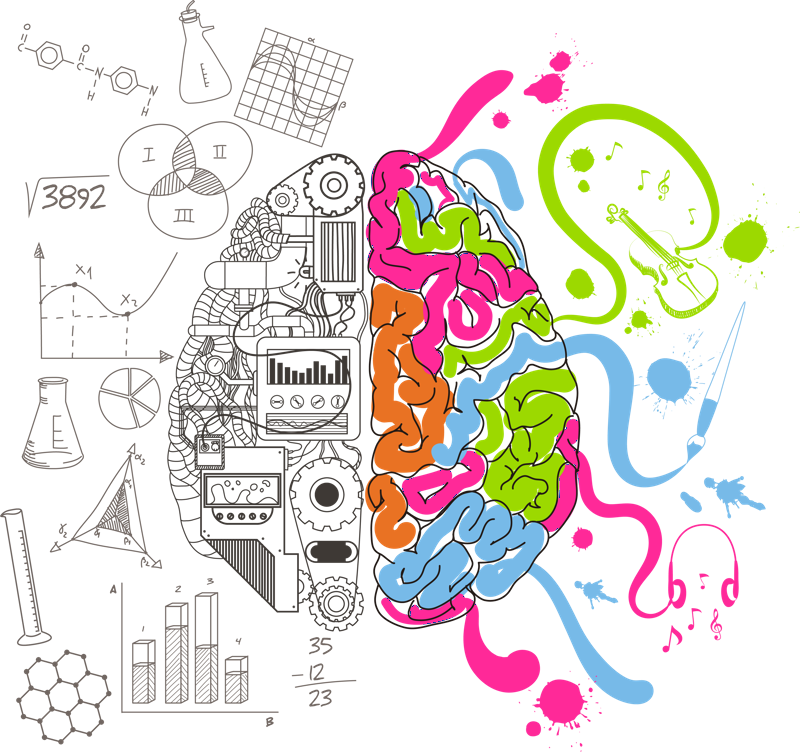 Brain Art Png (800x752), Png Download
